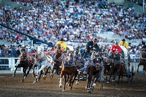 The Calgary Stampede 2024