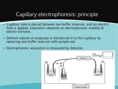 Capillary electrophoresis principles and applications