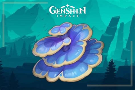 Genshin Impact: All 77 Rukkhashava Mushrooms farming routes