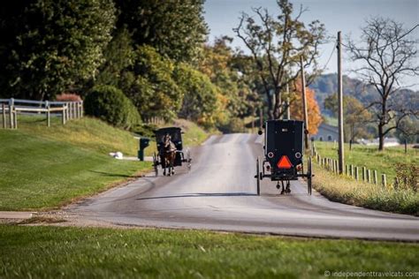 Top Things to do in Amish Country Ohio: A Great Family Destination