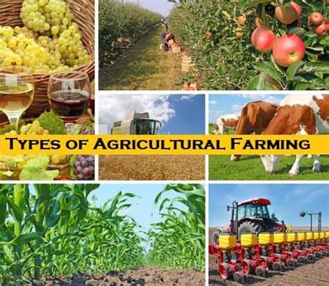 Basic 7 Types of Agricultural Farming with Pros & Cons - Basic ...