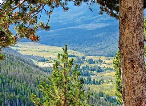 Colorado River Trail - La Poudre Pass Trail | Grand County | Colorado