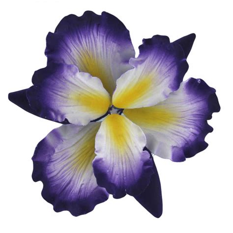 Global Sugar Art Dutch Iris Sugar Cake Flowers, Purple with Yellow ...