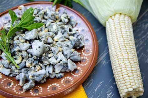 Huitlacoche, the Mexican delicacy | Fine Dining Lovers