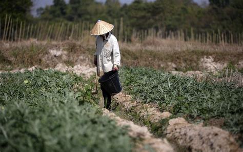 Enhancing water policies in Laos - CGIAR