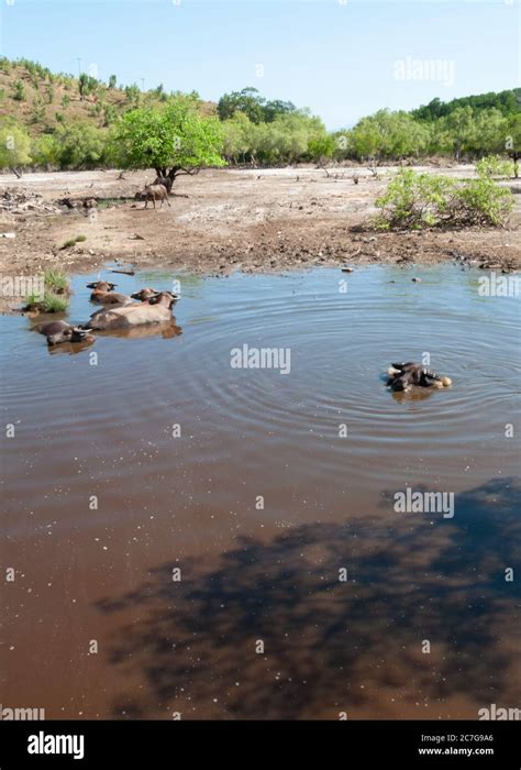 Timor leste hi-res stock photography and images - Alamy