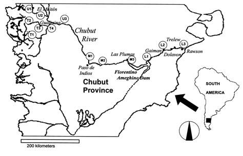 Map showing the locations of the 13 sampling sites in the Chubut River ...