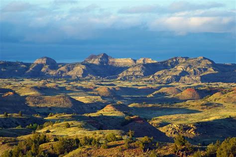 Theodore Roosevelt National Park: Where Wildlife & Buffalo Still Roam