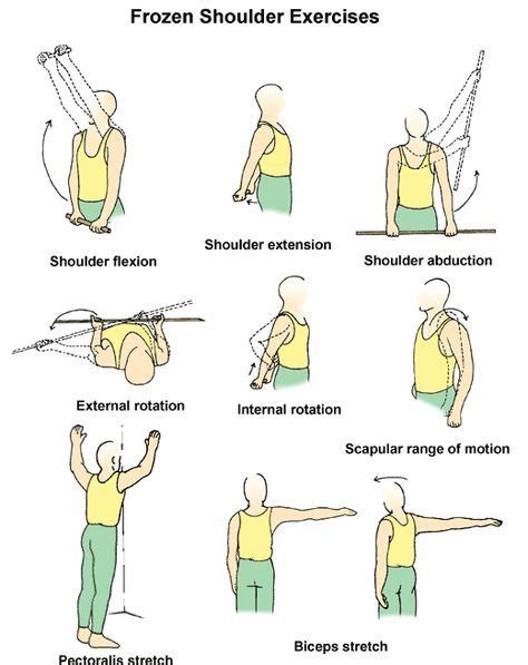 How to build big shoulders! | Frozen shoulder exercises, Frozen shoulder, Shoulder exercises ...