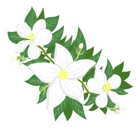 Sampaguita Personal Design Created By Designer Aster | Designhill | Sampaguita, Clip art, Flower ...