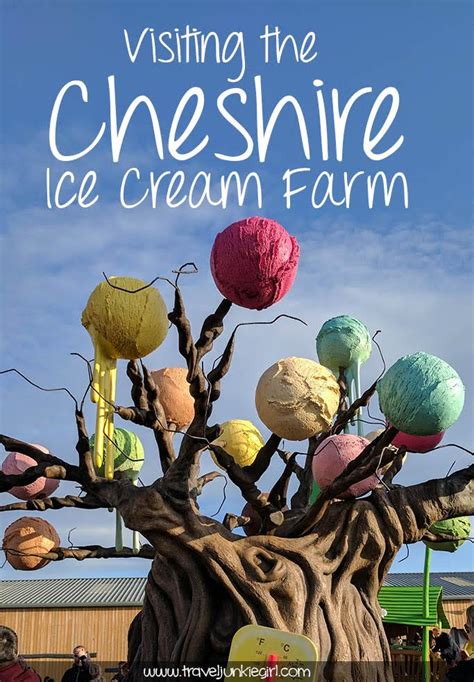 Visiting the Cheshire Ice Cream Farm - Travel Junkie Girl