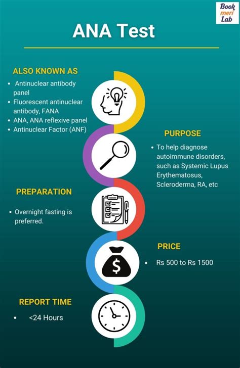 ANA Test: Purpose, Price, Procedure & Results [2025] • Bookmerilab