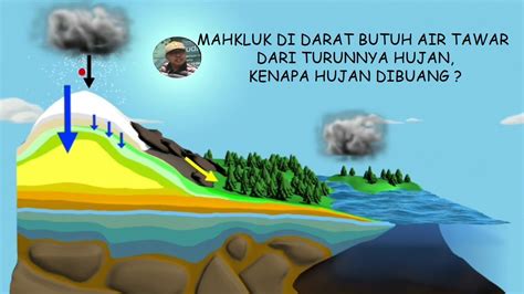 MAHKLUK DI DARAT BUTUH AIR TAWAR DARI TURUNNYA HUJAN,KENAPA HUJAN DIBUANG - YouTube