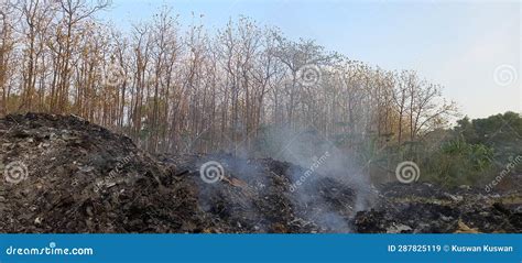 Garbage burning stock image. Image of burning, tree - 287825119