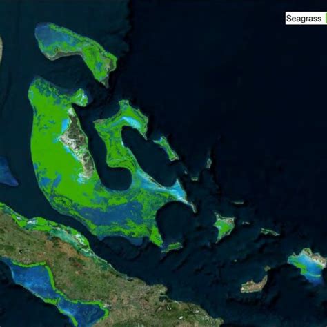 Map showing locations of coral reefs in The Bahamas. | Download ...