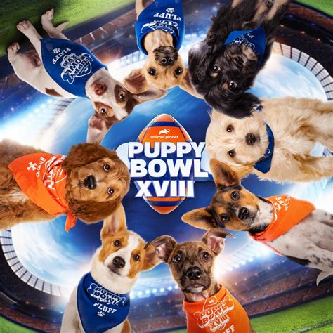 Puppy Bowl XVIII is Almost Here! | Watch Highlights From Puppy Bowl ...