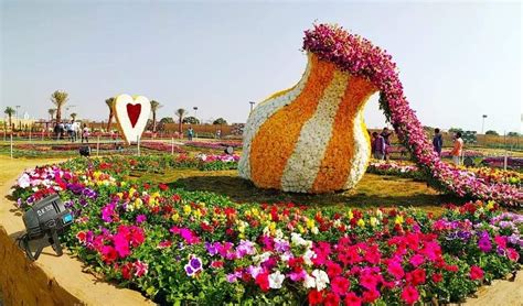 Darius Ultimate: Places To Buy Flowers Near Me - Top Places To Visit In ...