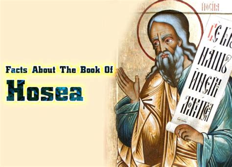 Facts About The Book Of Hosea | Only One Hope