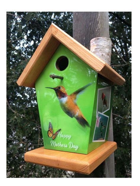 Mothers Day Gift Idea! Hummingbird Birdhouse Birdhouses Bird Feeders ...