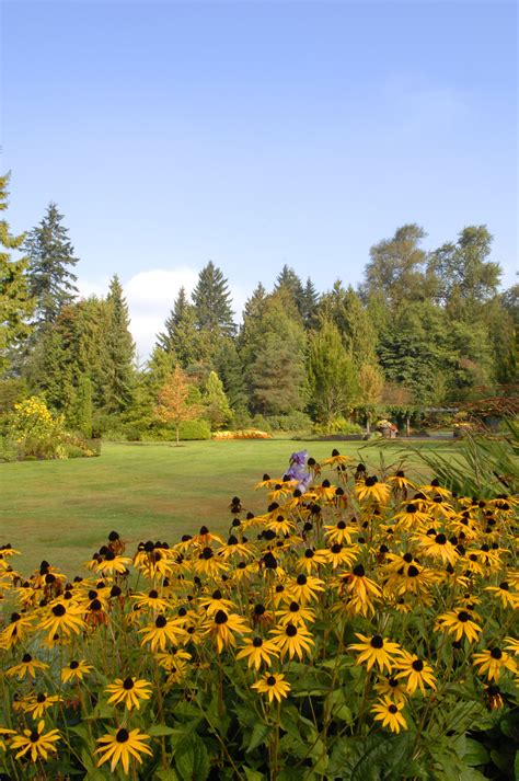 Bear Creek Park, Surrey | Places of interest, Urban park, Surrey