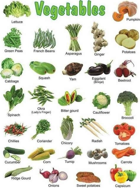 Green Vegetables Names In English - SAM Vegetable