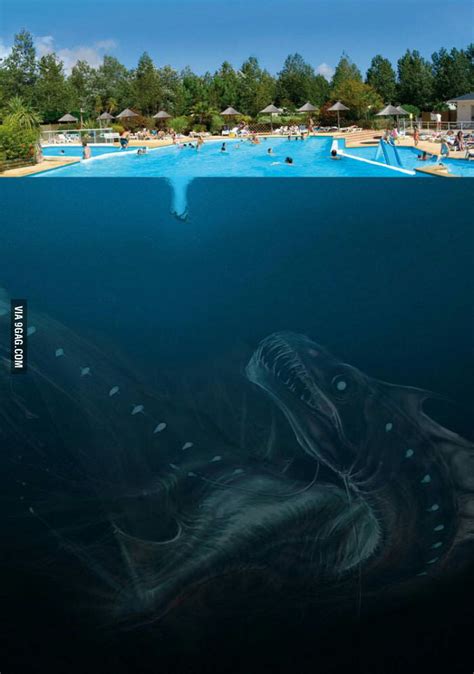 Fear of deep water - 9GAG