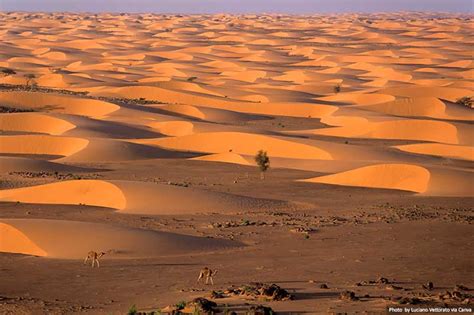 10 Best Places to Visit and Things to Do in Mauritania | TAD