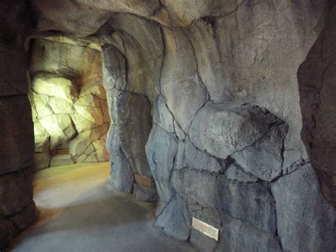 Herpetarium - Desert Dwellers Corridor - ZooChat