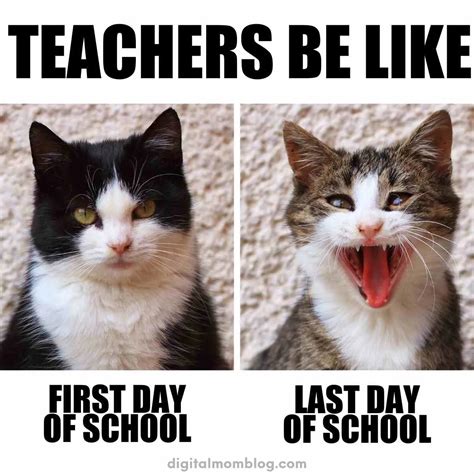 Funny Back To School Memes For Teachers And Students