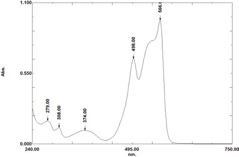 Presentation of R-Phycoerythrin (R-PE) - Phyco-Biotech