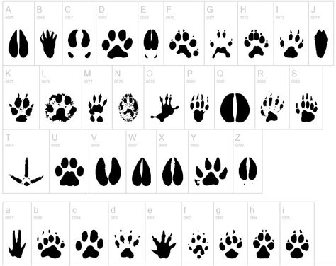 animal footprints free - Clip Art Library