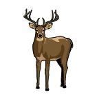 Animals Stock Temporary Tattoo - Deer W/ Large Antlers (2"X2"),China Wholesale Animals Stock ...