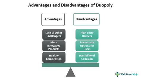 Duopoly - Meaning, Examples, Types - Cournot and Bertrand