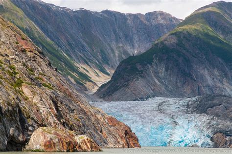 Sawyer Glacier | Tongass National Forest, Alaska. | Photos by Ron Niebrugge