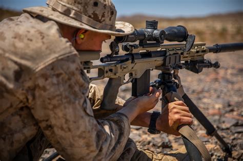 Reserve Scout Sniper Platoon Conduct Live-Fire Training During ITX 5-19