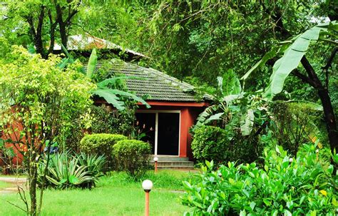 Farmstays With Swimming Pool, Top Facilites in Goa, Check Hotels By Facility