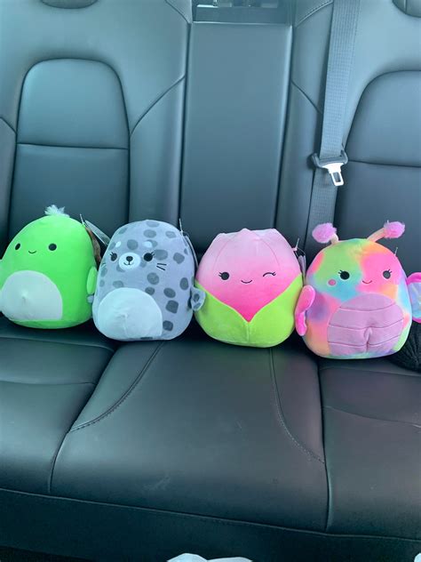 Five below squishmallows ! : squishmallow