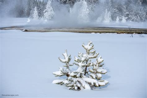 Things to do in Yellowstone in Winter - The Van Escape