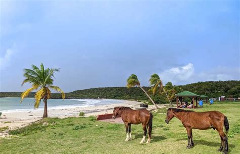 18 Vieques Beaches - The Essential Guide | The RTW Guys