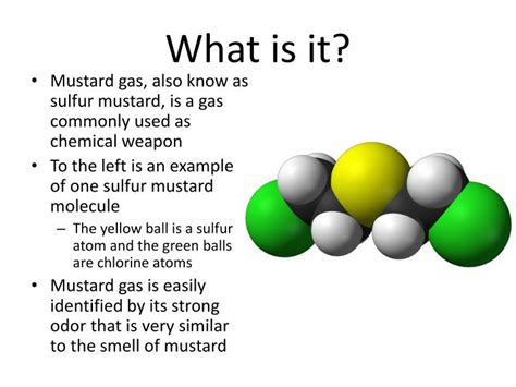 PPT - Mustard Gas PowerPoint Presentation - ID:2665062