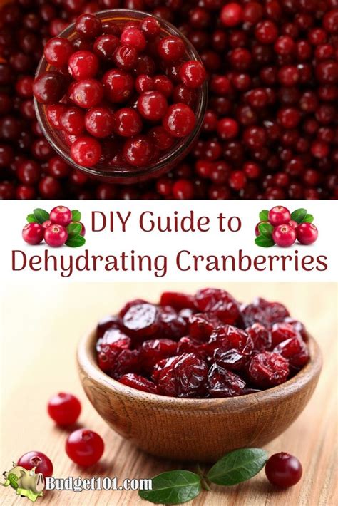 Dehydrating Cranberries - MYO Dried Cranberries | Recipes, Cranberry recipes, Food