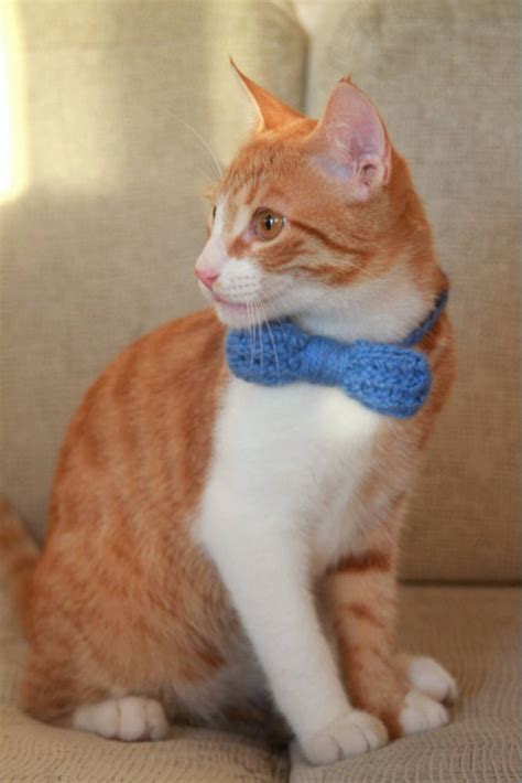 Cat Bow Bowtie for Cats Bow Tie for Small Dogs Cat | Etsy