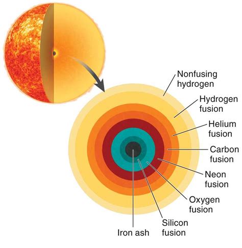 Solved The figure shows the core of a red supergiant star | Chegg.com