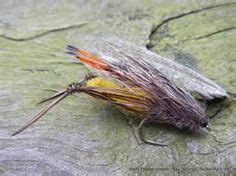 20 Best GRASSHOPPER PATTERNS images | Fly tying, Fly fishing, Fly tying ...