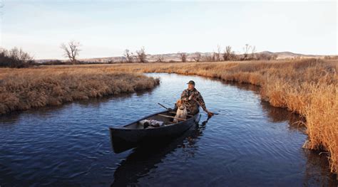 Duck Hunting: Tips for Midday Mallards