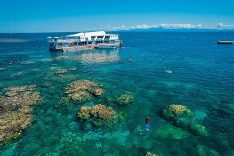 Great Barrier Reef Full-Day Snorkeling Cruise from Cairns 2024 - Cairns & the Tropical North