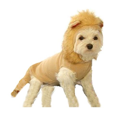 Honey Bee Dog Costume | Anit Pet at PupRwear