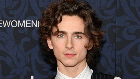 Timothée Chalamet Net Worth - Net Worth Lists