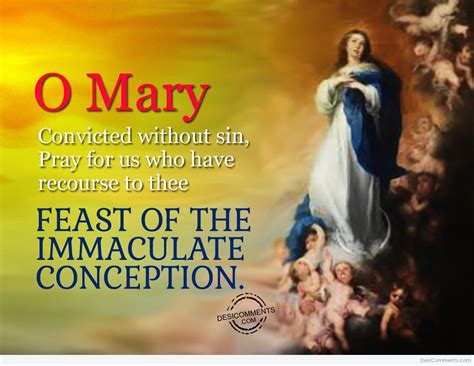 Feast Of The Immaculate Conception - everynew