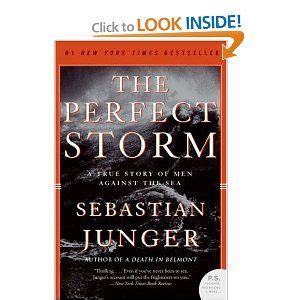 The Perfect Storm | True stories, Perfect storm, Price book